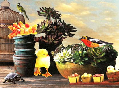 Birdcage Succulents, original collage