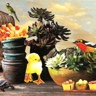 Birdcage Succulents, original collage