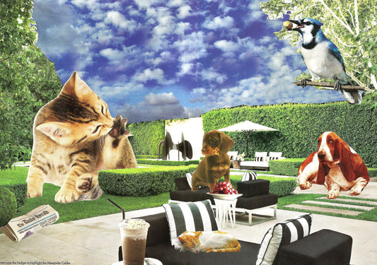 Summer Time Party, original collage