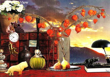 World View Library, original collage